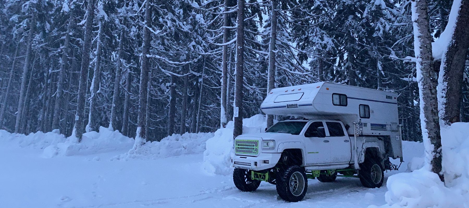 truck in snowy woods