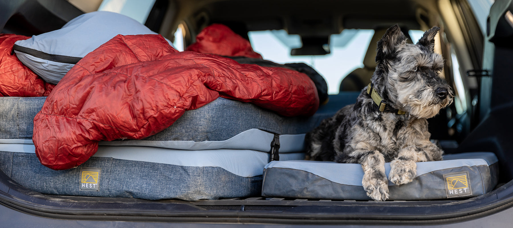 5 Best dog friendly camping sites near Seattle