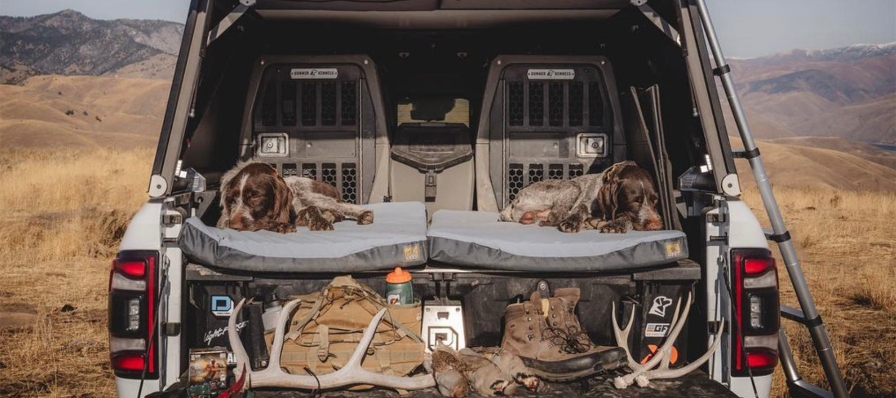 two bird dogs sleeping in the back of a truck bed on their dog beds