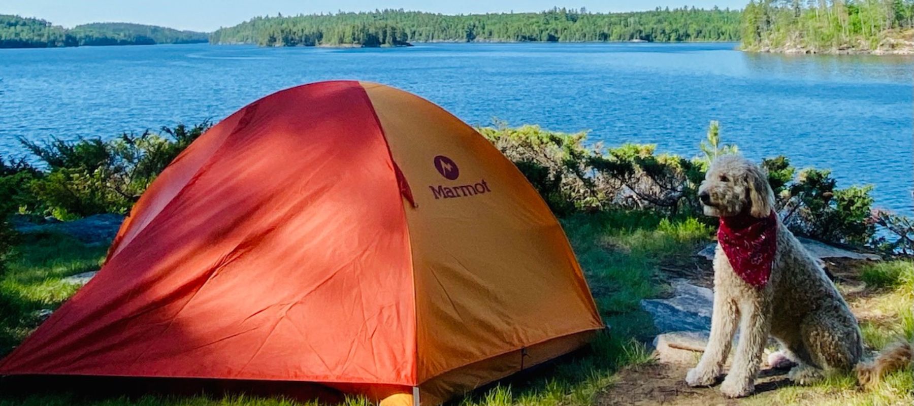 dog and northface tent overlooking lake