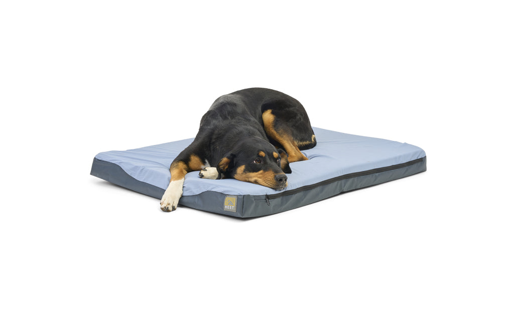 HEST Friend Dog Bed HEST - Main Image