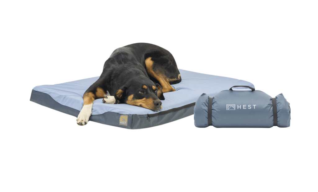 Memory foam mattress fashion for dogs