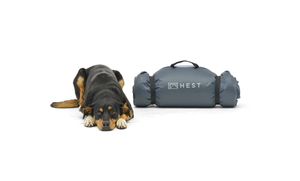 Dog sleeping top bag bed
